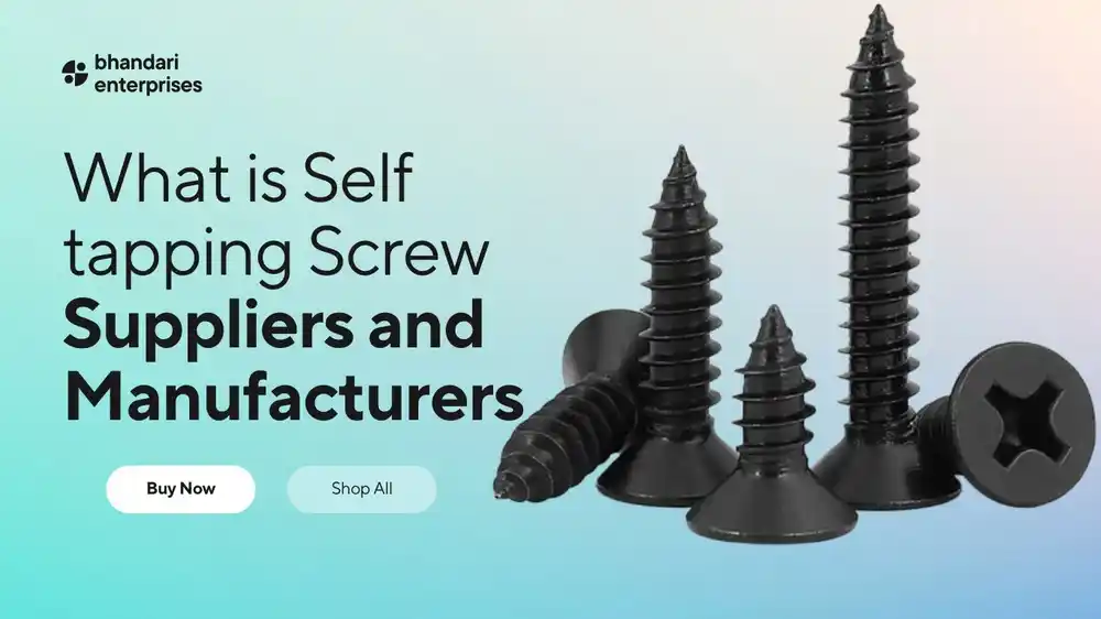 Self tapping Screw