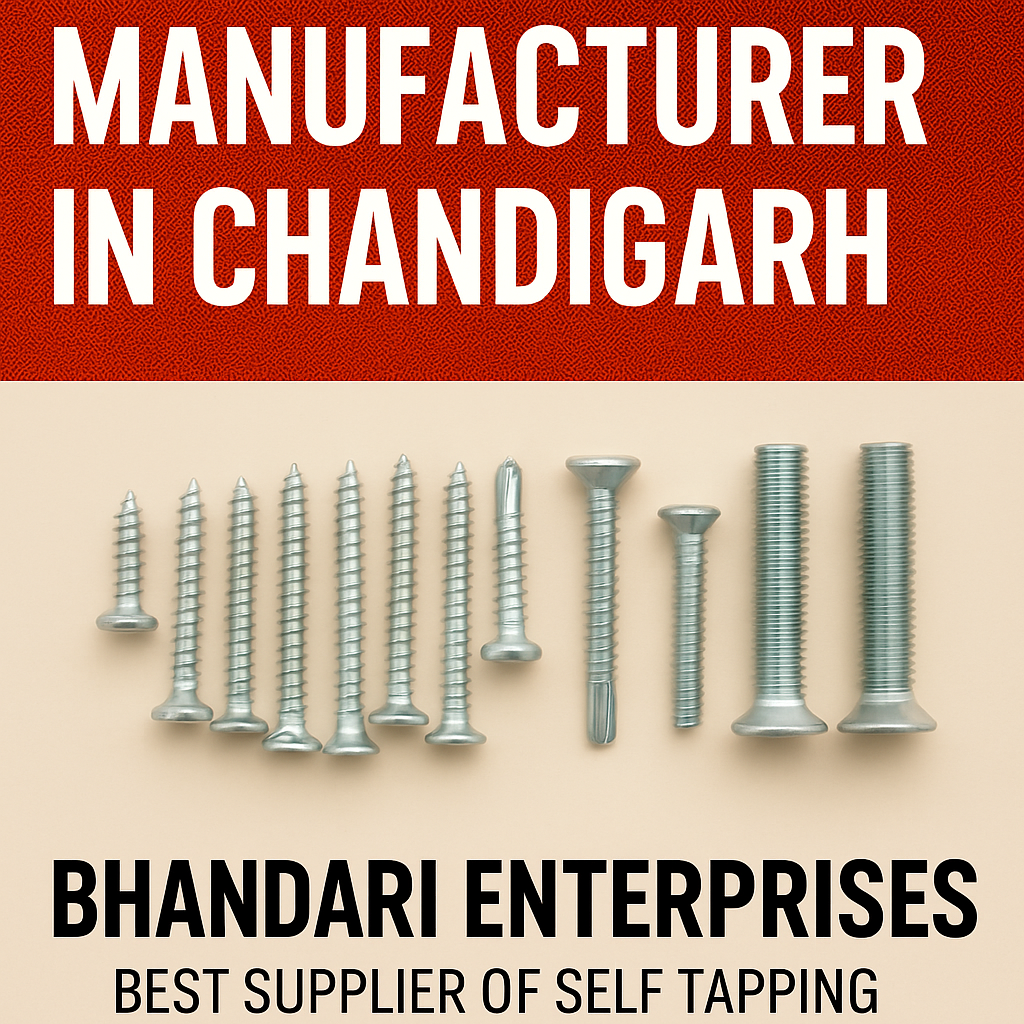 Best Screw Manufacturer in Chandigarh